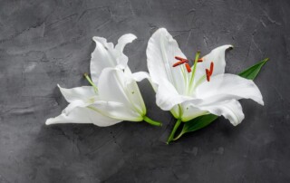 A compassionate counsellor providing support to a grieving individual, symbolizing the healing journey through grief counselling.