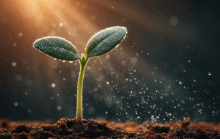 Dew-covered seedling emerging from dark soil under warm sun rays, with drifting water droplets, symbolizing grounded growth and renewal.